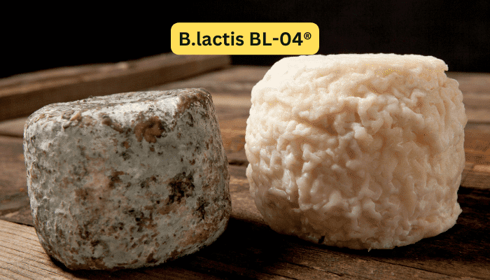B lactis