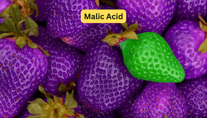 Malic Acid